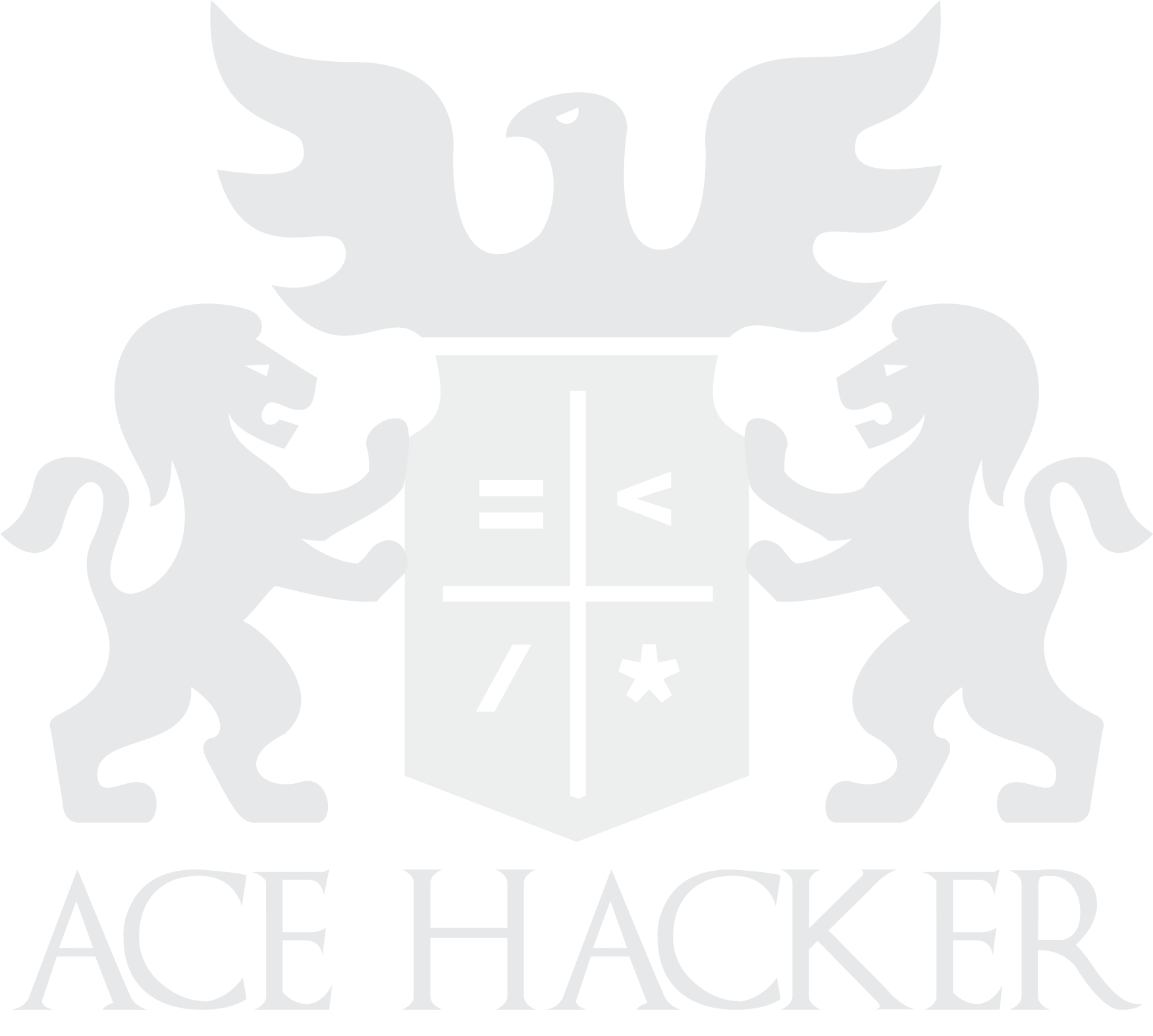 Ace Hacker